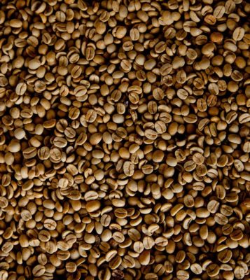 Как в Бразилии выращивают и собирают кофе