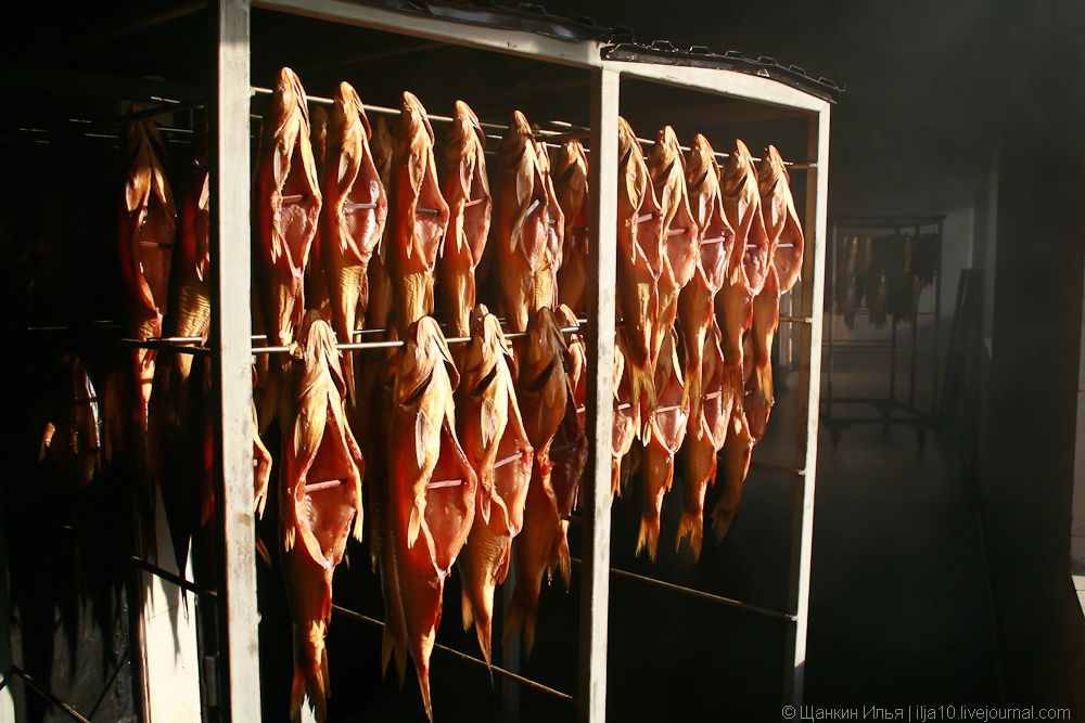 Копченая разбор. Промышленная вялка рыбы. Оборудование для копчения мяса и рыбы. Коптильный цех. Искусственное копчение.