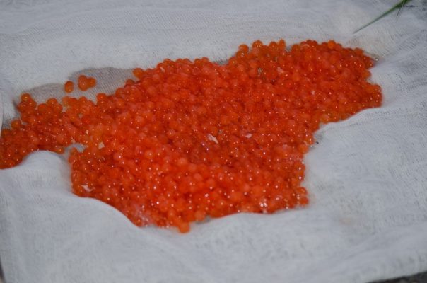 Красная икра. Как готовить в домашних условиях