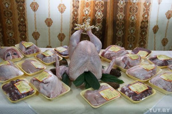 Как выращивают индеек в Беларуси