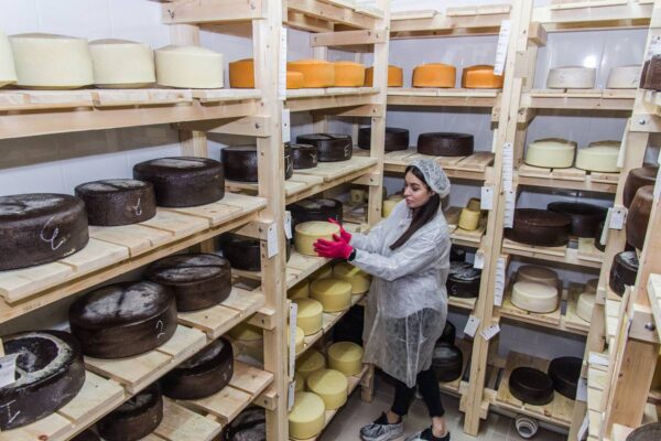Как делают сыр в Пятигорске