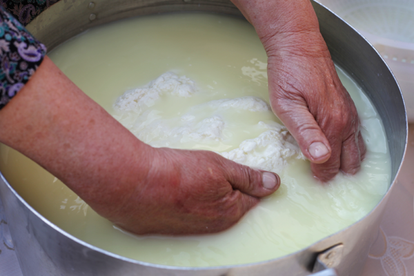 Как делают осетинский сыр 